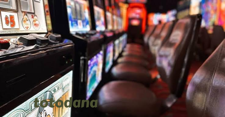 totodana Live Dealer Tables at Your Fingertips