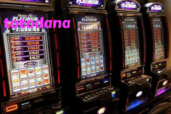 totodana slide 1